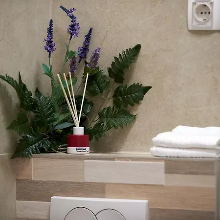 Antica * 트로기르